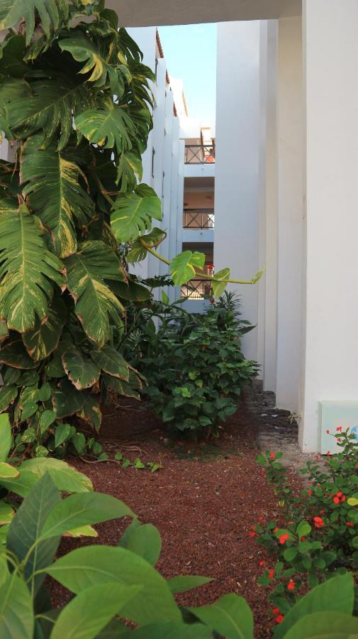 Apartamento En Tenerife Sur, Parque Santiago 2 阿罗纳 外观 照片