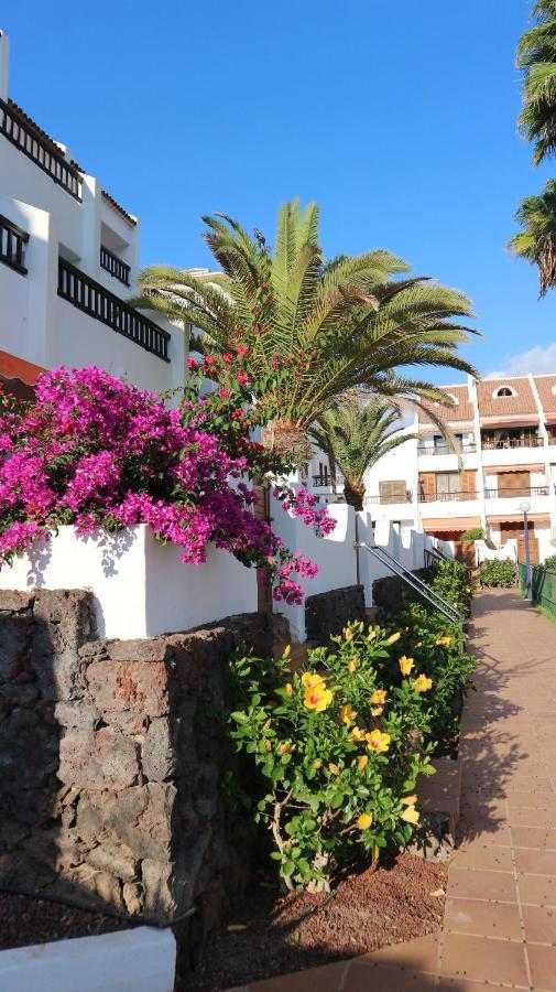 Apartamento En Tenerife Sur, Parque Santiago 2 阿罗纳 外观 照片