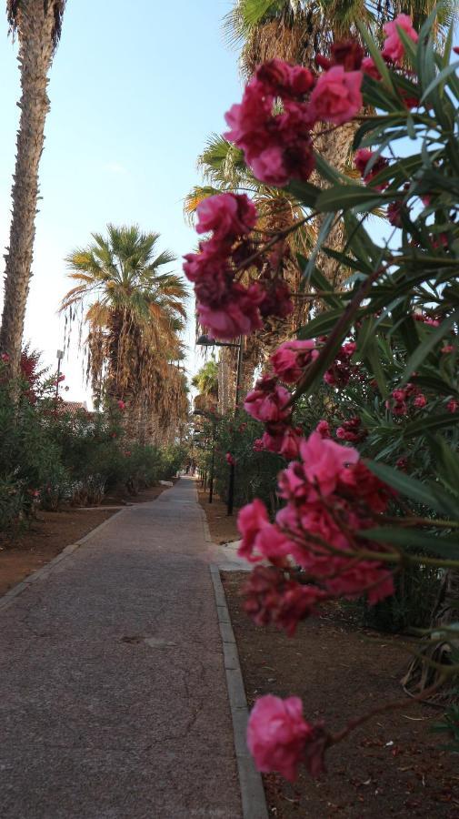 Apartamento En Tenerife Sur, Parque Santiago 2 阿罗纳 外观 照片